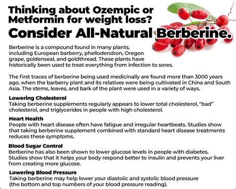 burberry blood sugar|can barberries lower blood sugar.